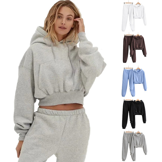 American Style Casual Hooded Pullover Hoodie and Sweatpants Set Suit Blank Hoodies High Quality Hoodie Fall and Winter Style