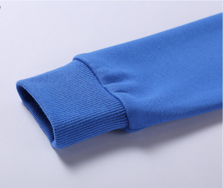 Heavyweight Blank Pullover Fleece Cotton High Quality Custom Printed Drop Shoulder Oversized Thick Fashion Hoodies