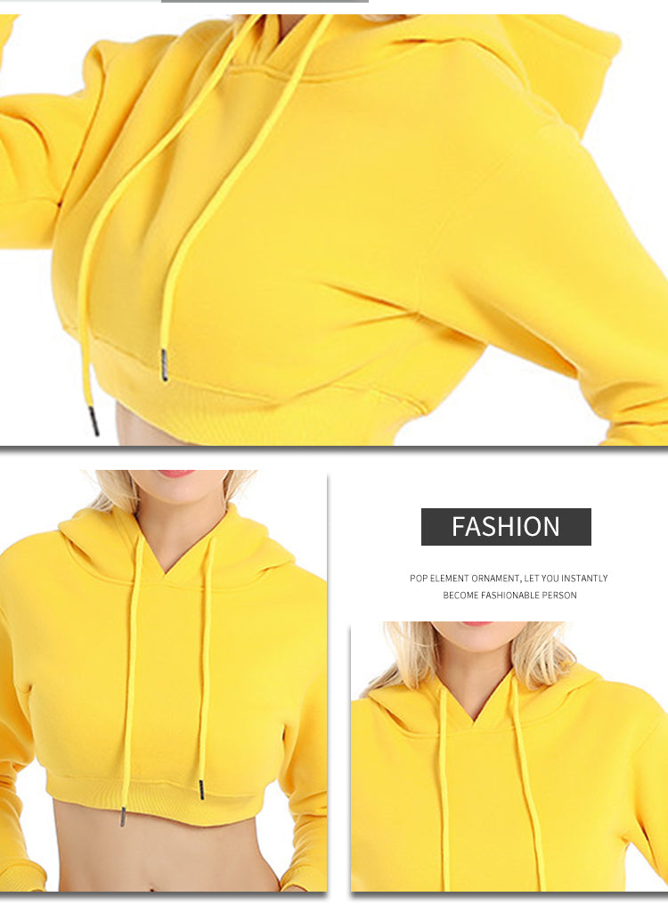 Wholesale Crop Tight-fitting Streetwear High Quality Polyester and Cotton Custom Puff Print Heavyweight Blank Pullover Hoodie