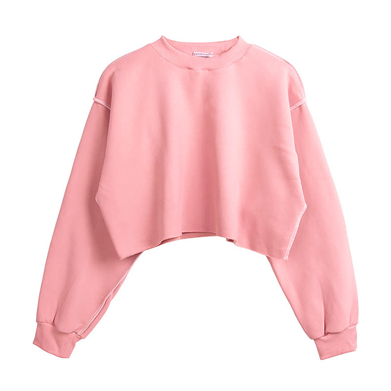High Quality Custom Pullover Hoodie Multi Color Blank Distressed Embroidery  Cropped Short New Design Streetwear Hoodies Women