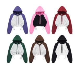 Pullover Blank Boxy Fashion High Quality 100% Cotton Heavyweight Crop Top Custom Puff Print Women's Hoodies Sweatshirts